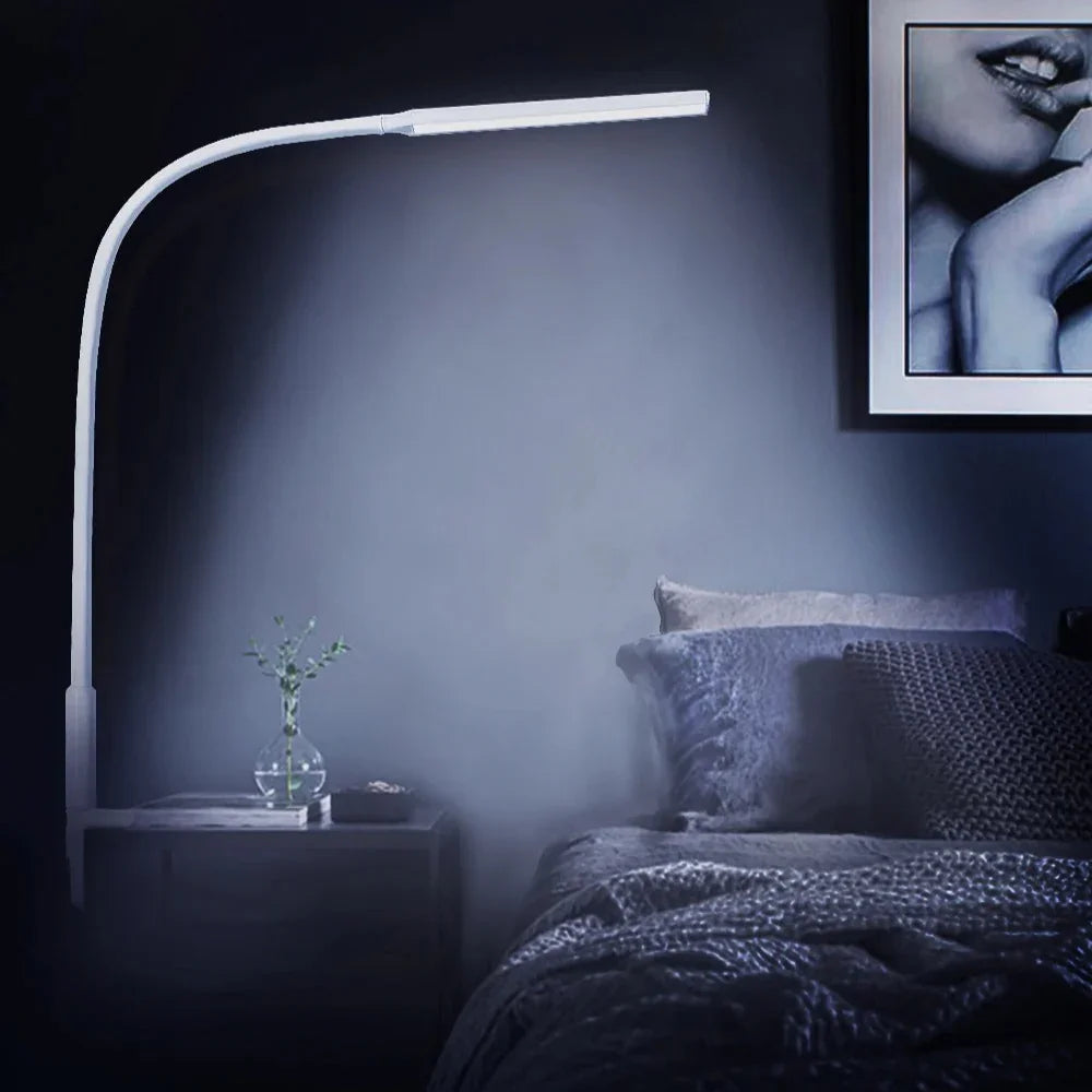 Lorlia LED Desk Lamp