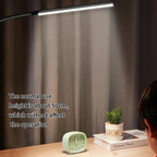 Lorlia LED Desk Lamp