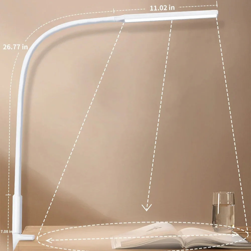 Lorlia LED Desk Lamp