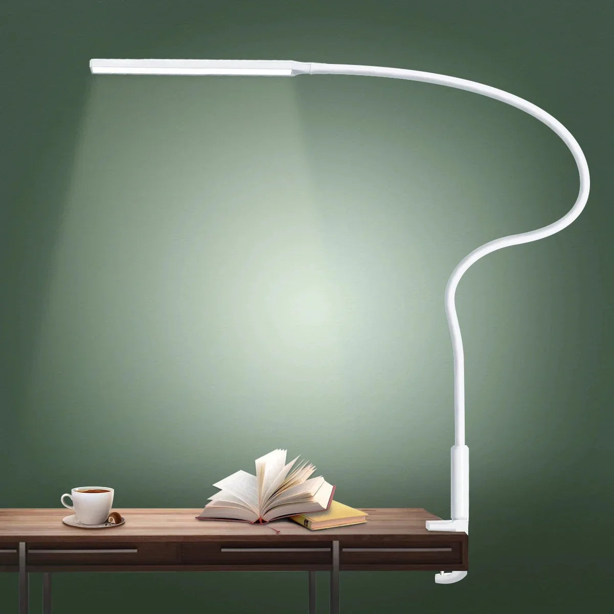 Lorlia LED Desk Lamp