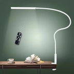 Lorlia LED Desk Lamp