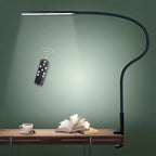 Lorlia LED Desk Lamp