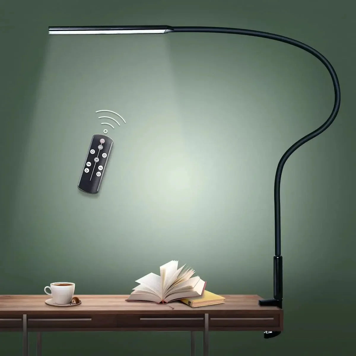Lorlia LED Desk Lamp