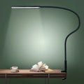 Lorlia LED Desk Lamp