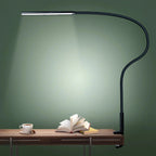 Lorlia LED Desk Lamp