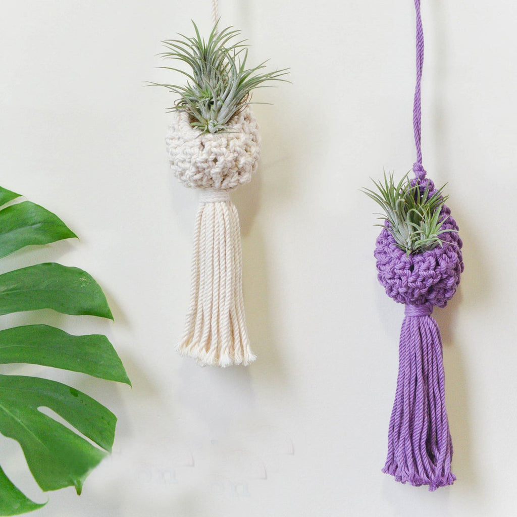 Macrame Hanging Plant Holder with Decorative Tassel | High & Bury