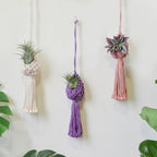 Macrame Hanging Plant Holder with Decorative Tassel | High & Bury