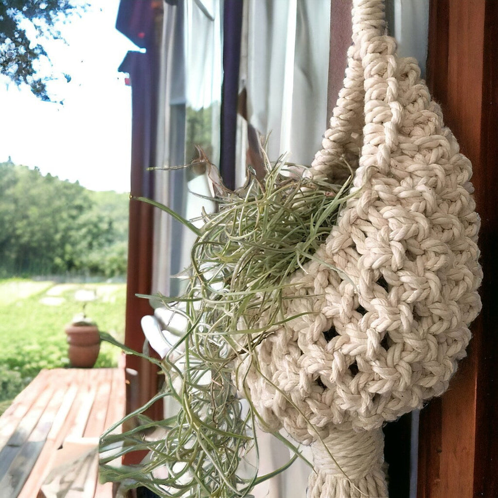 Macrame Hanging Planter | High & Bury
