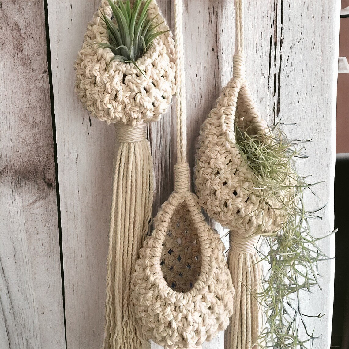 Macrame Hanging Planter | High & Bury