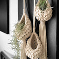 Macrame Hanging Planter | High & Bury
