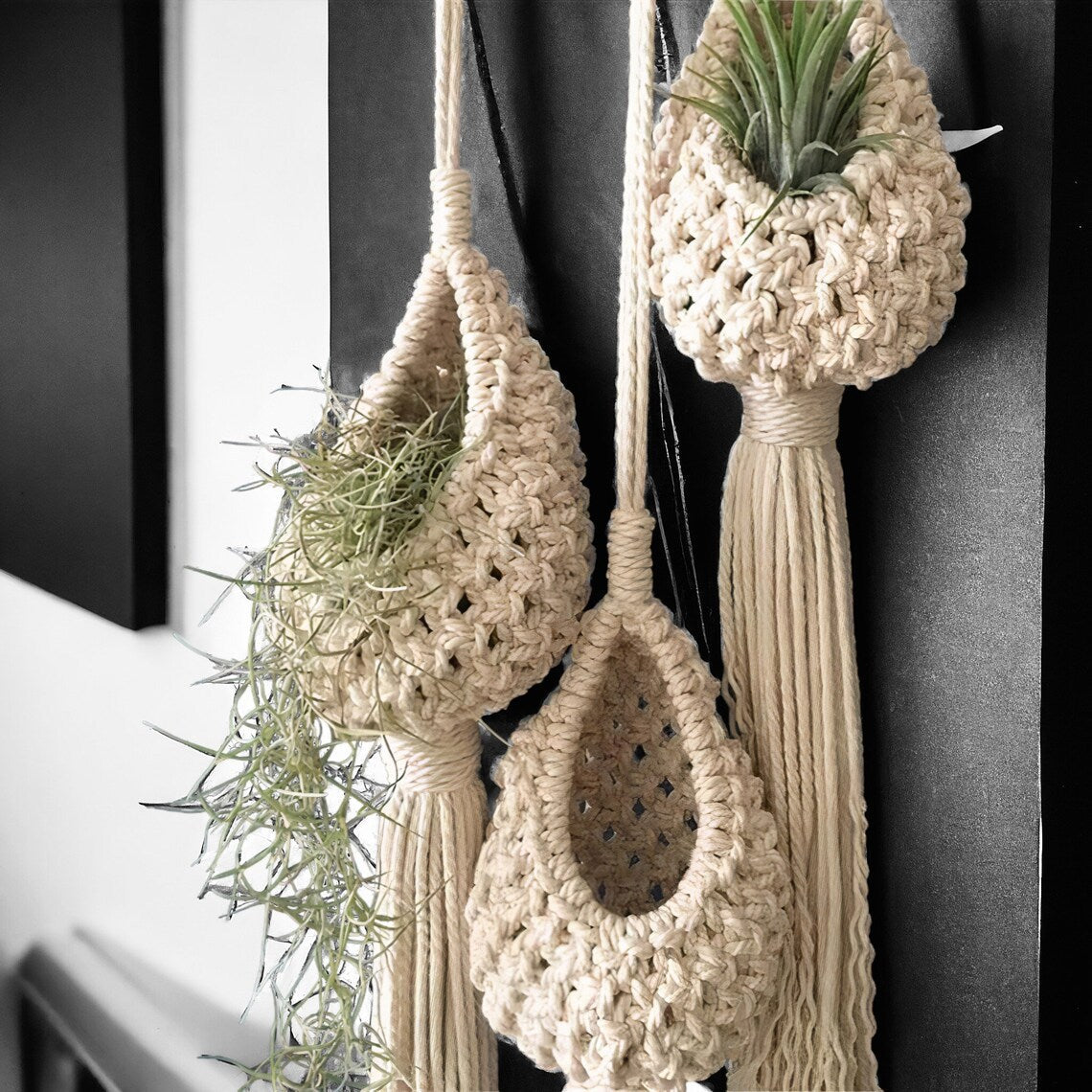 Macrame Hanging Planter | High & Bury