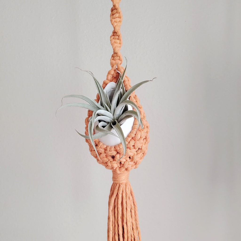 Macrame Hanging Planter Holder | High & Bury