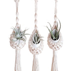 Macrame Hanging Planter Holder | High & Bury