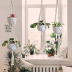 Macrame Plant Hanger Natural Wood Brick Red | High & Bury