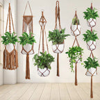 Macrame Plant Hanger Set | High & Bury