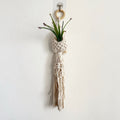 Macrame Plant Hanger with Decorative Tassels | High & Bury
