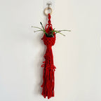 Macrame Plant Hanger with Decorative Tassels | High & Bury