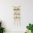 Macrame Plant Wall Hanging Organizer | High & Bury