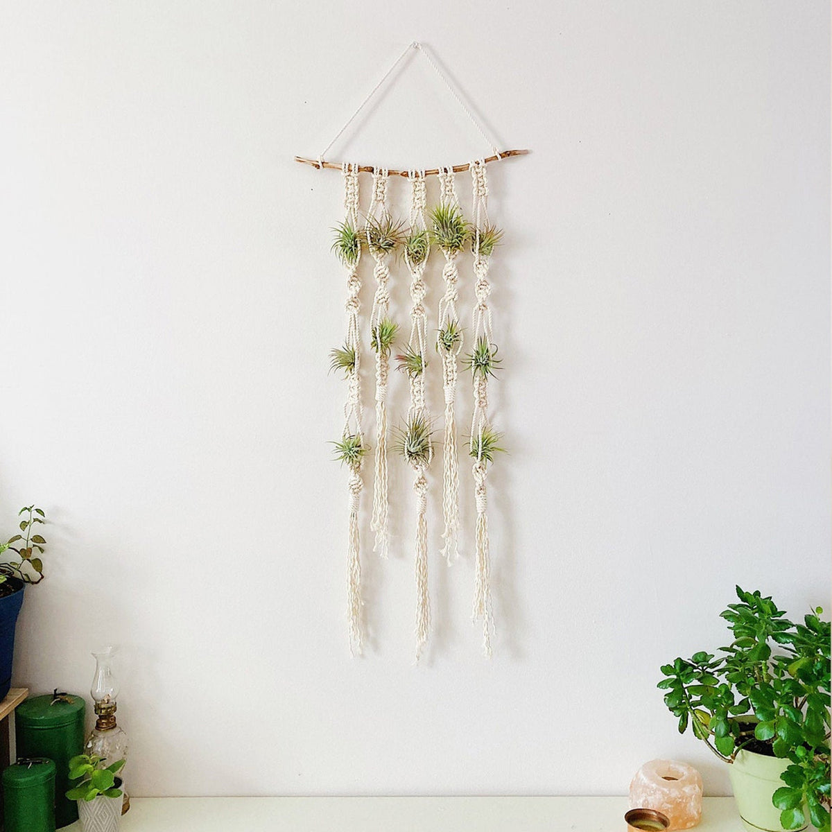 Macrame Plant Wall Hanging Organizer | High & Bury