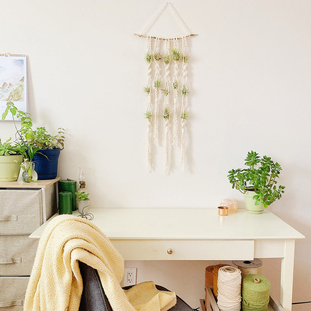Macrame Plant Wall Hanging Organizer | High & Bury