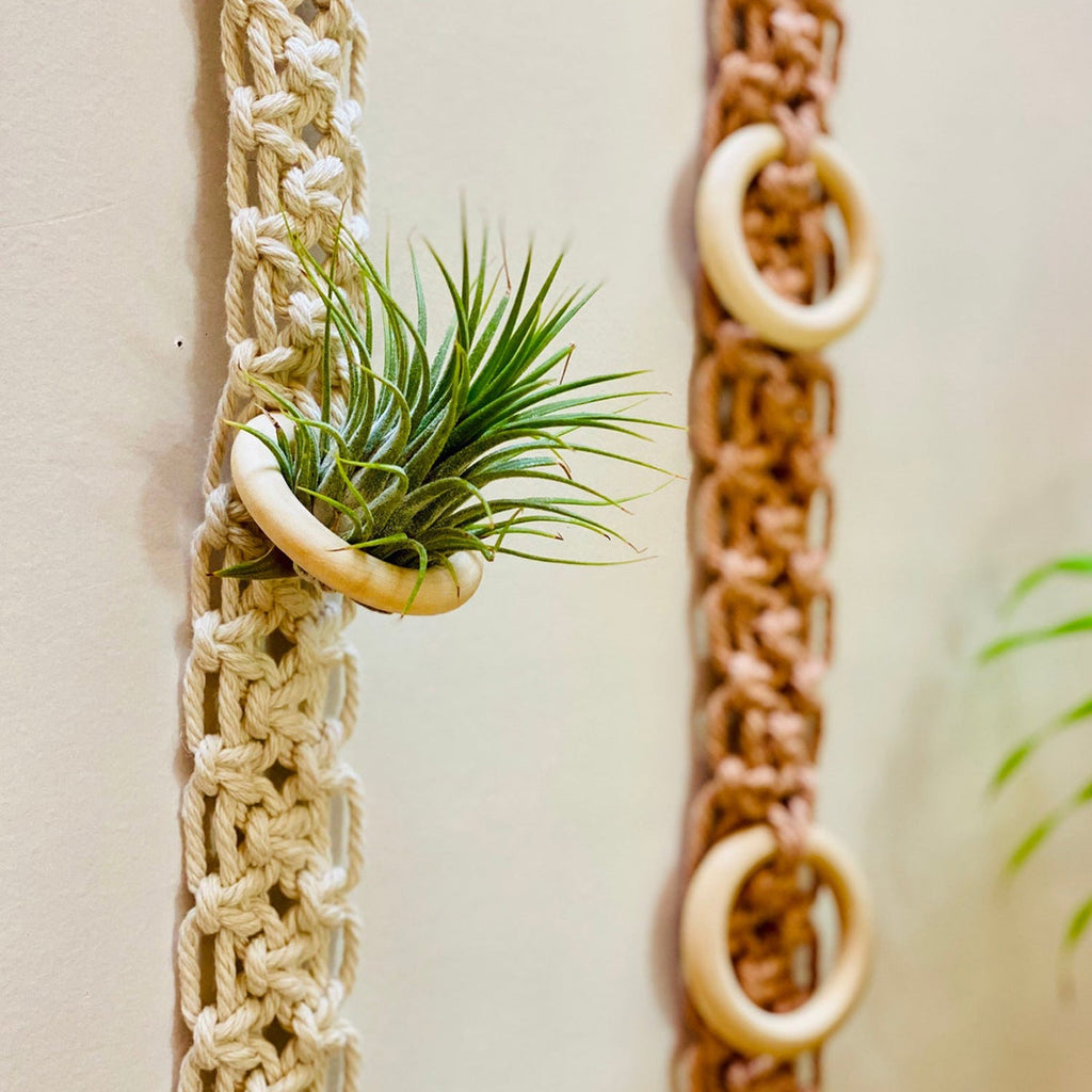Macrame Wall Plant Holder | High & Bury