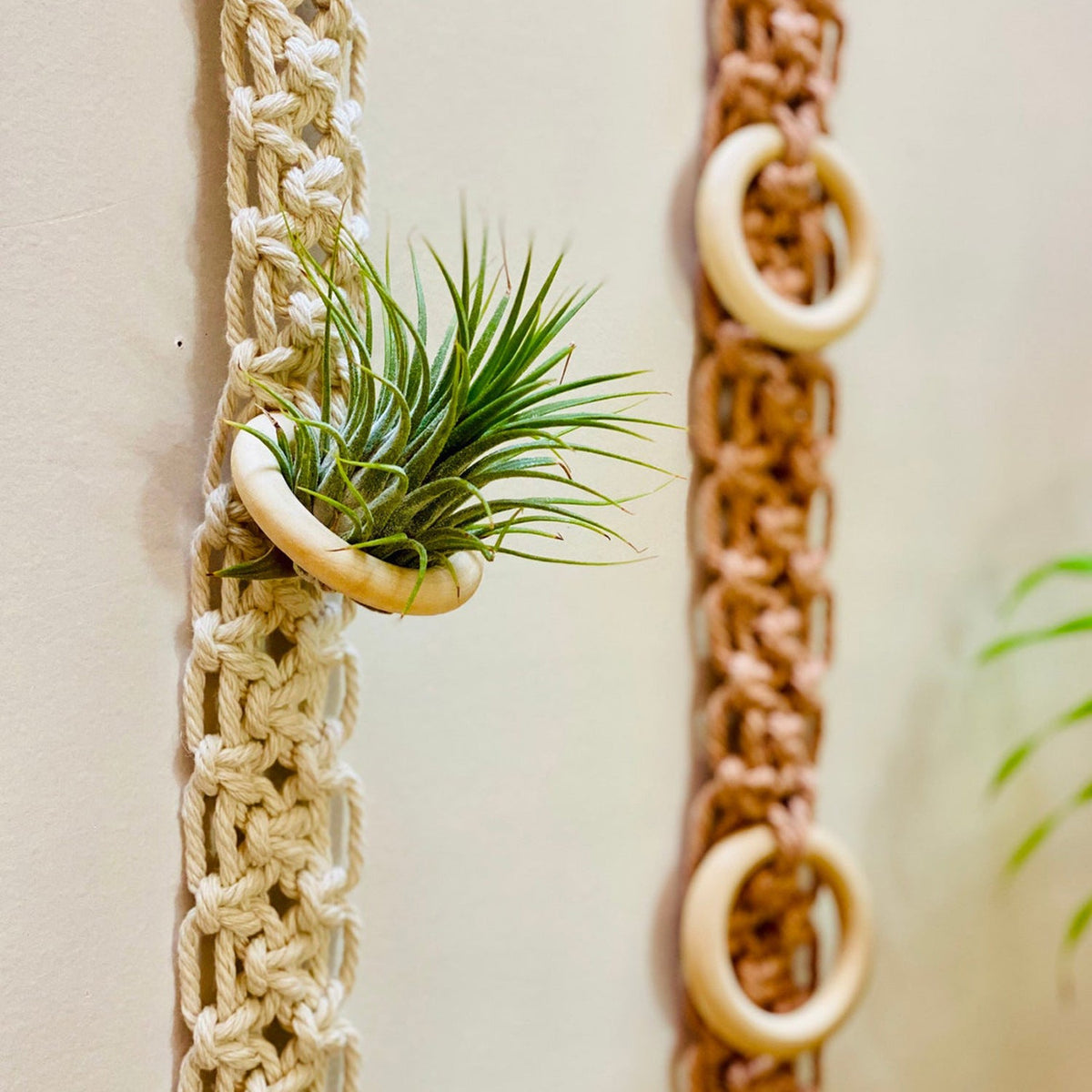Macrame Wall Plant Holder | High & Bury