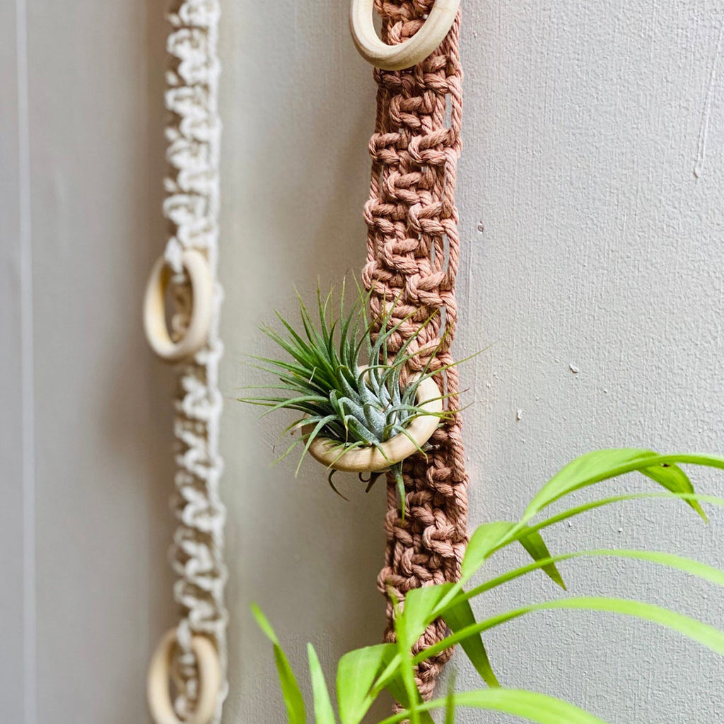 Macrame Wall Plant Holder | High & Bury