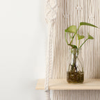 Macrame Wall Shelf with Integrated Plant Holder | High & Bury