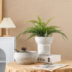 Modern Plant Sculpture | High & Bury