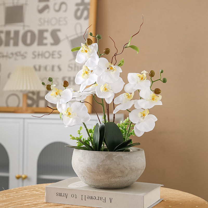 Modern Plant Sculpture | High & Bury