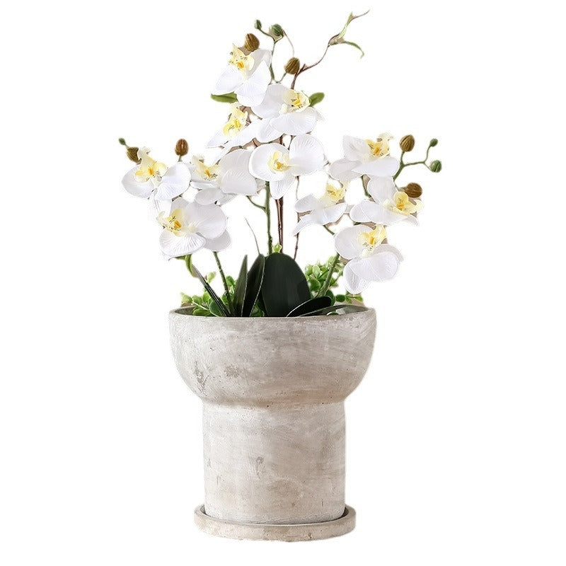 Modern Plant Sculpture | High & Bury