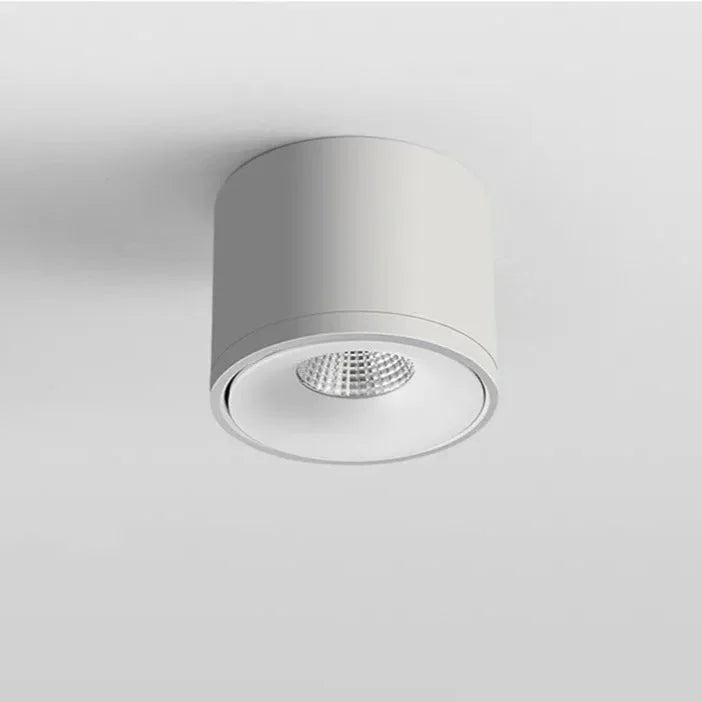 Moorfell Surface Mounted Downlight
