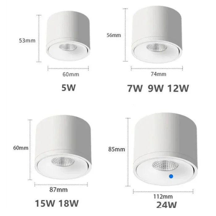Moorfell Surface Mounted Downlight