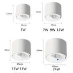 Moorfell Surface Mounted Downlight