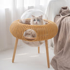 Multifunctional Cat Furniture | High & Bury