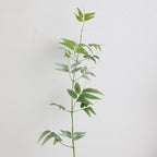 Natural Artificial Branch with Intricately Detailed Leaves | High & Bury