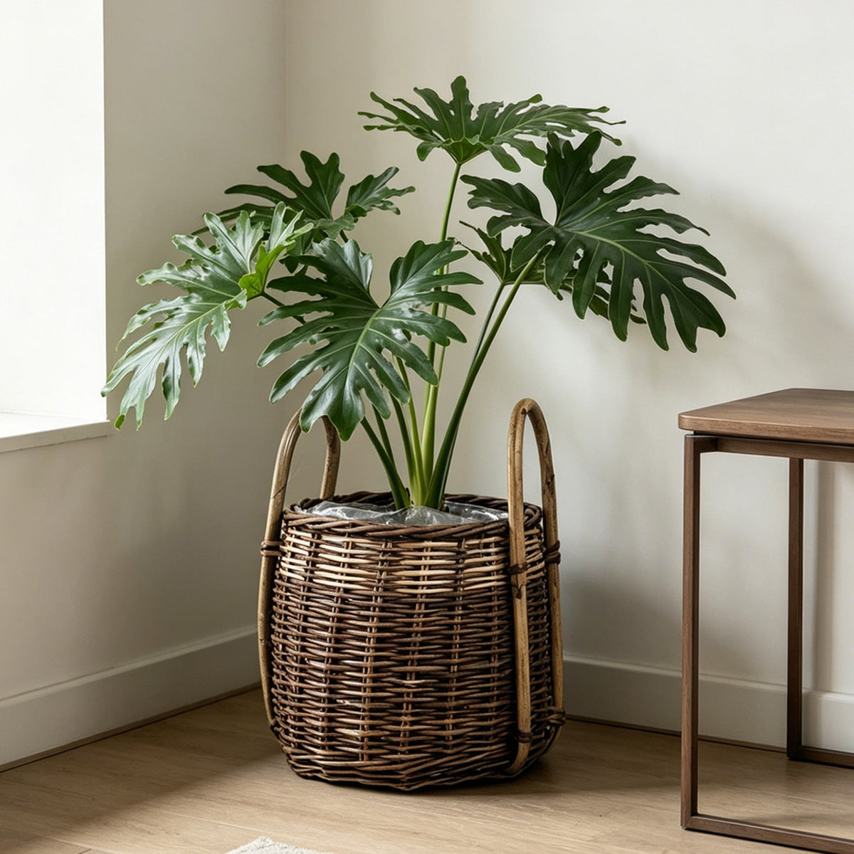 Natural Woven Storage Basket | High & Bury