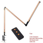Ornossa Desk Lamp
