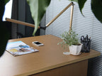 Ornossa Desk Lamp
