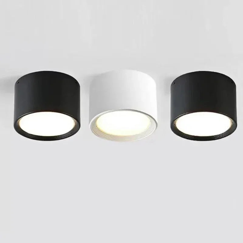 Ortora Surface Mounted Downlight