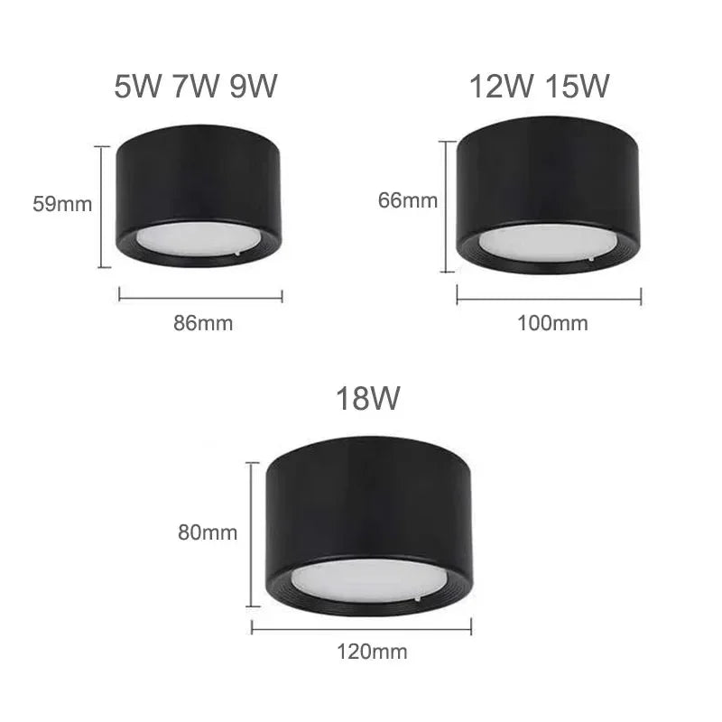 Ortora Surface Mounted Downlight