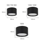 Ortora Surface Mounted Downlight