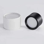 Ortora Surface Mounted Downlight