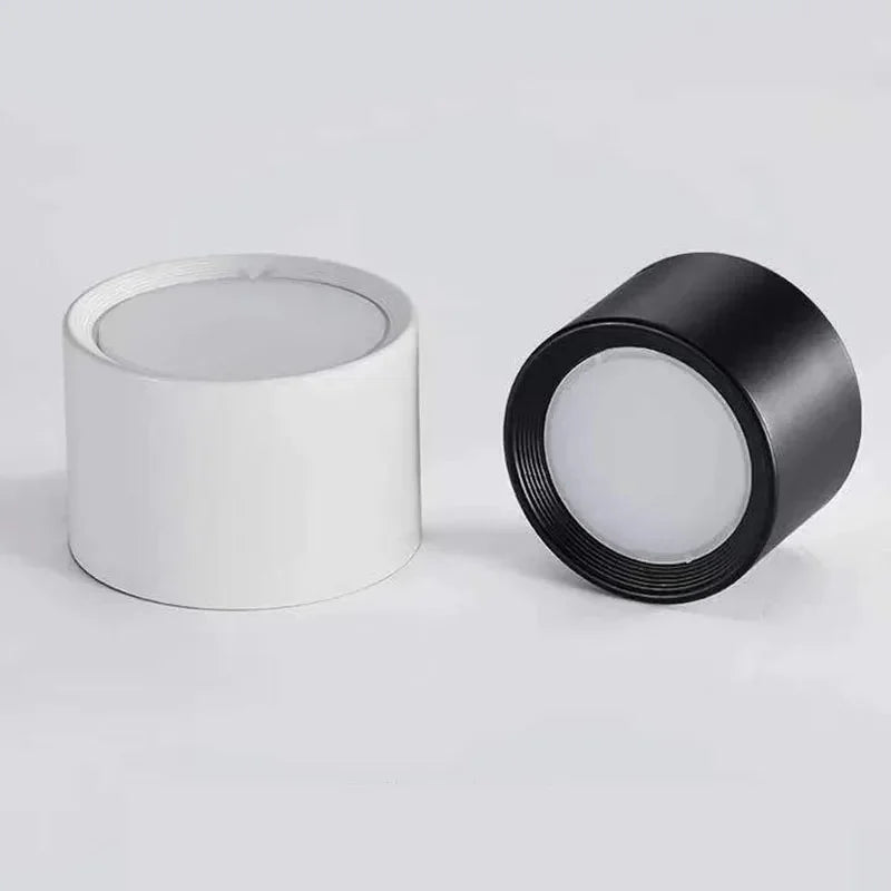 Ortora Surface Mounted Downlight