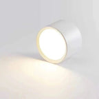 Ortora Surface Mounted Downlight