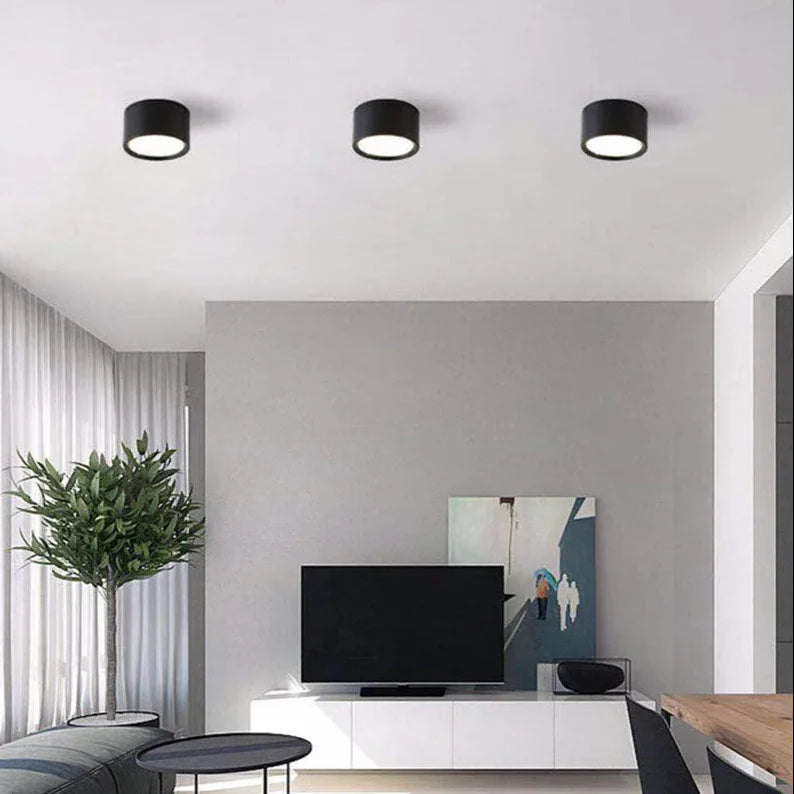 Ortora Surface Mounted Downlight