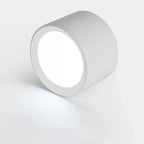 Ortora Surface Mounted Downlight