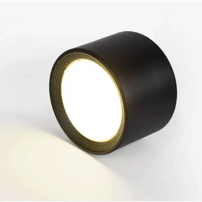 Ortora Surface Mounted Downlight