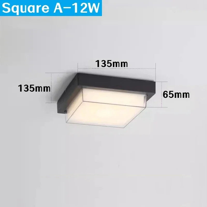 Ottercliff Outdoor Light