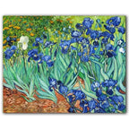 Pelstelta Wall Arts by Vincent Van Gogh